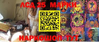 прущие грибы Чебоксары