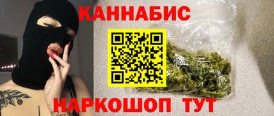 прущие грибы Чебоксары