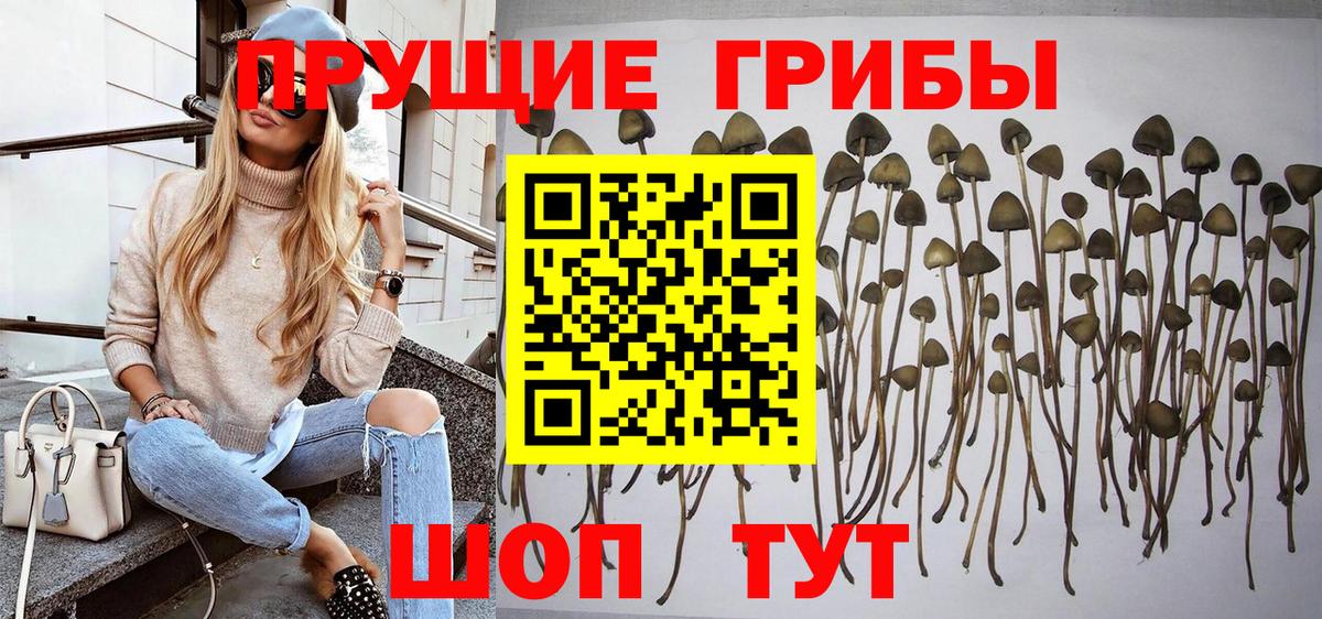 Псилоцибиновые грибы Magic Shrooms  Вход с VPN  Юрга  Псилоцибиновые грибы MAGIC MUSHROOMS 
