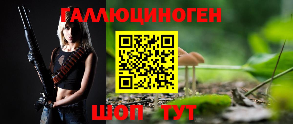 Псилоцибиновые грибы Psilocybine cubensis Юрга